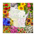 Wisconsin Bulk Perennial and Annual Wildflower Seed Mix 1/4lb Covers 500sq-ft - Attract Pollinators, Multi-Color Blooms
