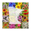 Minnesota Bulk Perennial and Annual Wildflower Seed Mix 1/4lb Covers 500sq-ft - Attract Pollinators, Multi-Color