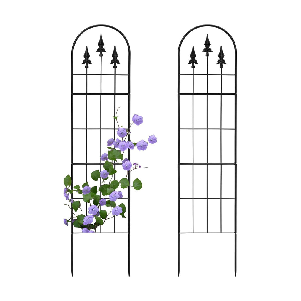 2 Pack 57.8" H x13 W Garden Trellis for Climbing Plants Outdoor, Rustproof Arched Metal Rose Trellis for Outdoor Indoor