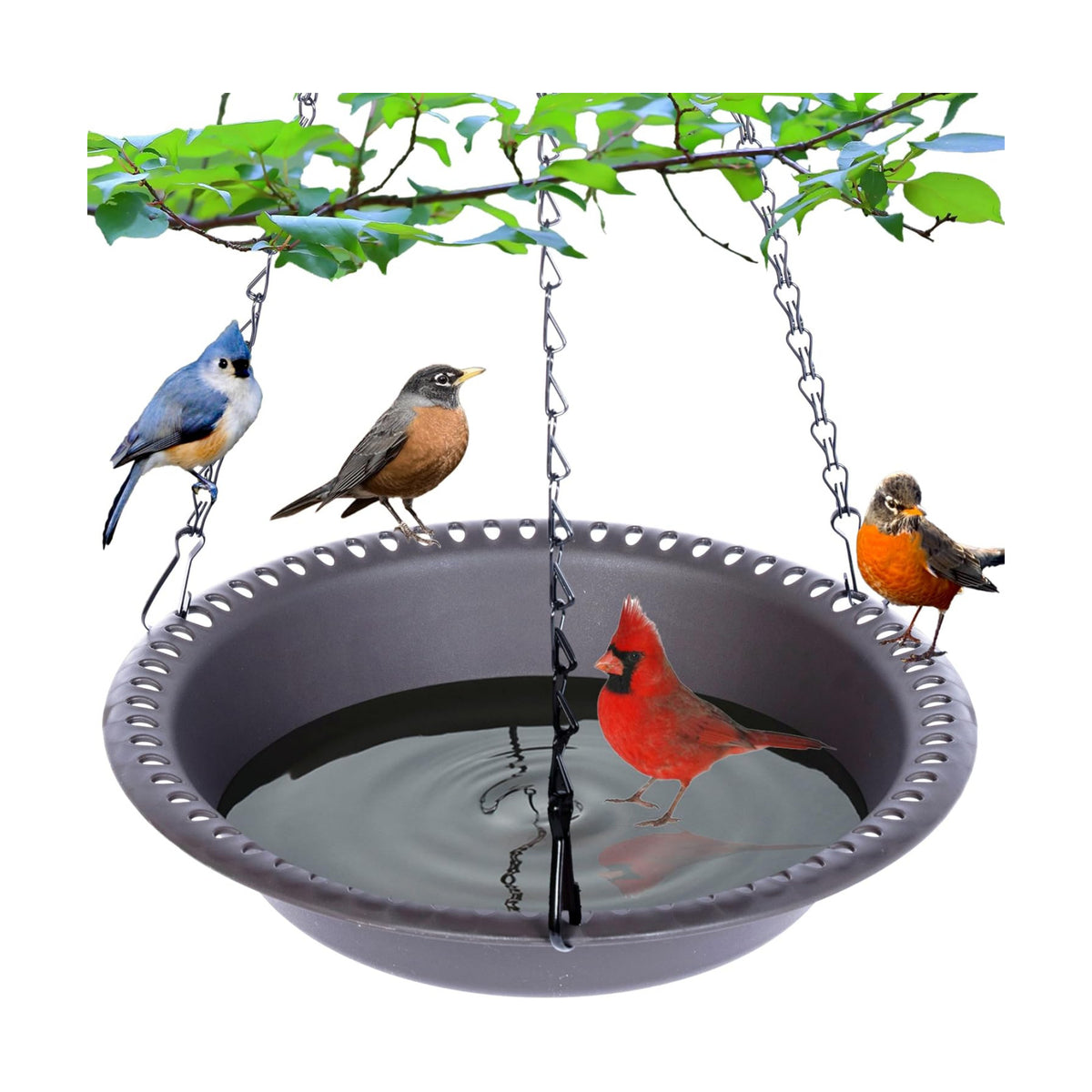 Hanging Bird Bath Bird Feeder 12 inch, 2 Pack Birdbath Tray for Garden Yard Outside, Brown