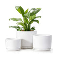 EFISPSS Plant Pots, 4+5+6 Inch Pots for Indoor Plants, Ceramic Planter Pot with Drainage Hole, Flower Pots for