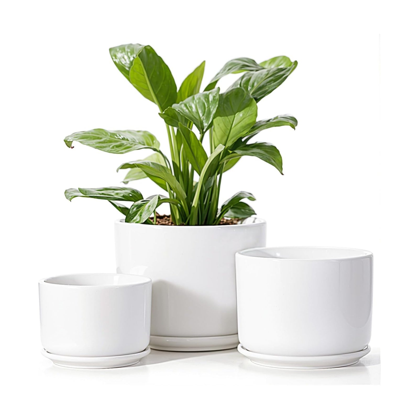 EFISPSS Plant Pots, 4+5+6 Inch Pots for Indoor Plants, Ceramic Planter Pot with Drainage Hole, Flower Pots for