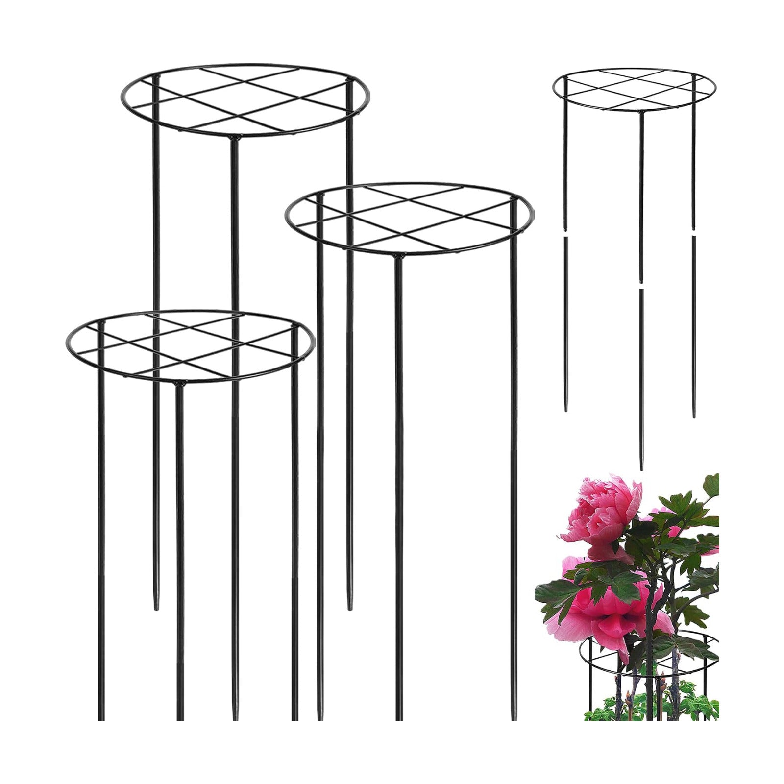 Peony Cages and Supports, 31.5"H x 12.6"D Plant Supports for Outdoor Plants | Large Peony Support Cages, 7mm Heavy Duty