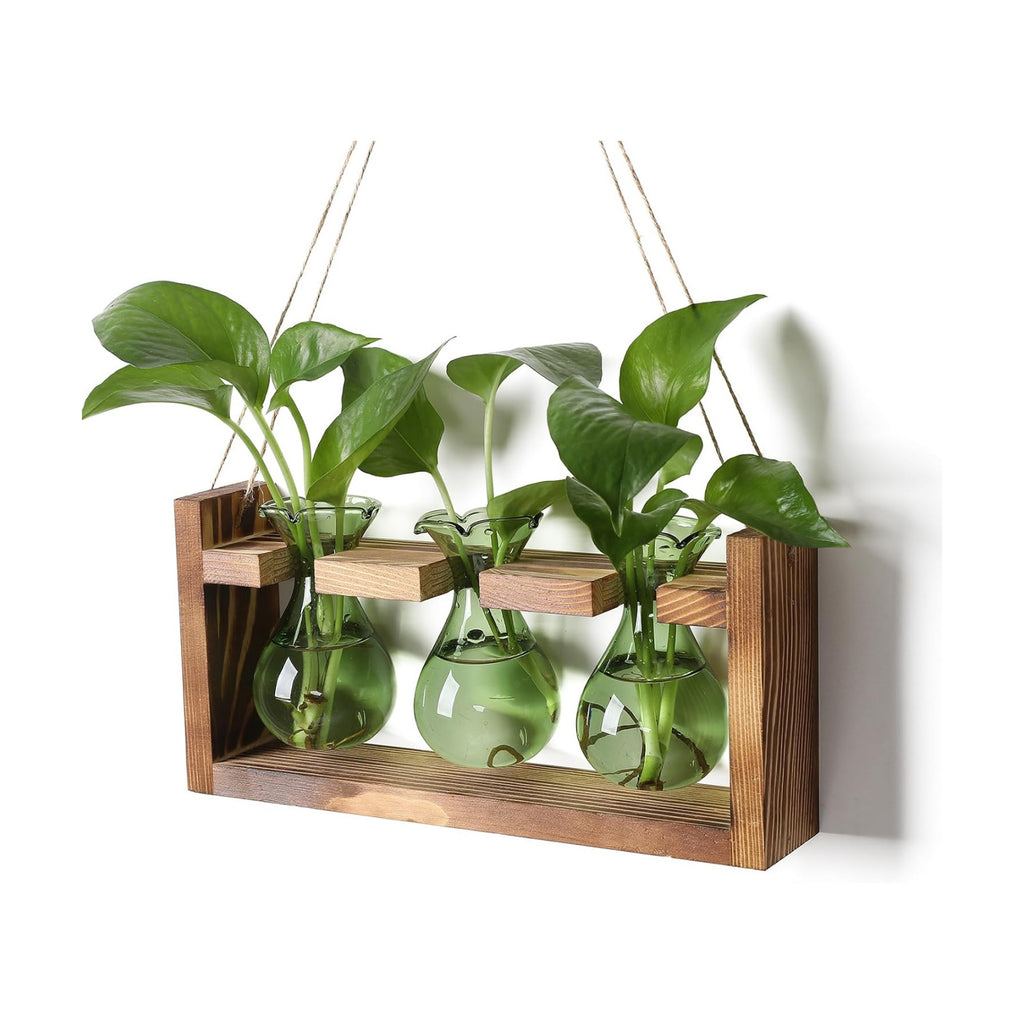 Plant Propagation Station Plant Terrarium Unique Birthday Gifts for Women | Plant Lovers Home Office Decor Planter with