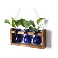 Plant Propagation Station Plant Terrarium Unique Birthday Gifts for Women | Plant Lovers Home Office Decor Planter with