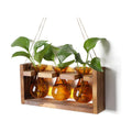 Plant Propagation Station Plant Terrarium Unique Birthday Gifts for Women | Plant Lovers Home Office Decor Planter with
