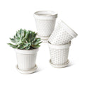 LE TAUCI Ceramic Plant Pots, 4.9 Inch Flower Pots with Drainage Hole & Saucer, Embossed Planter Pots for Indoor Plant