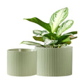 Ceramic Plant Pots, 8.1 + 6 Inch Planters for Indoor Plants, Modern Flower Pot for Plant with Drainage, Medium Cylinder