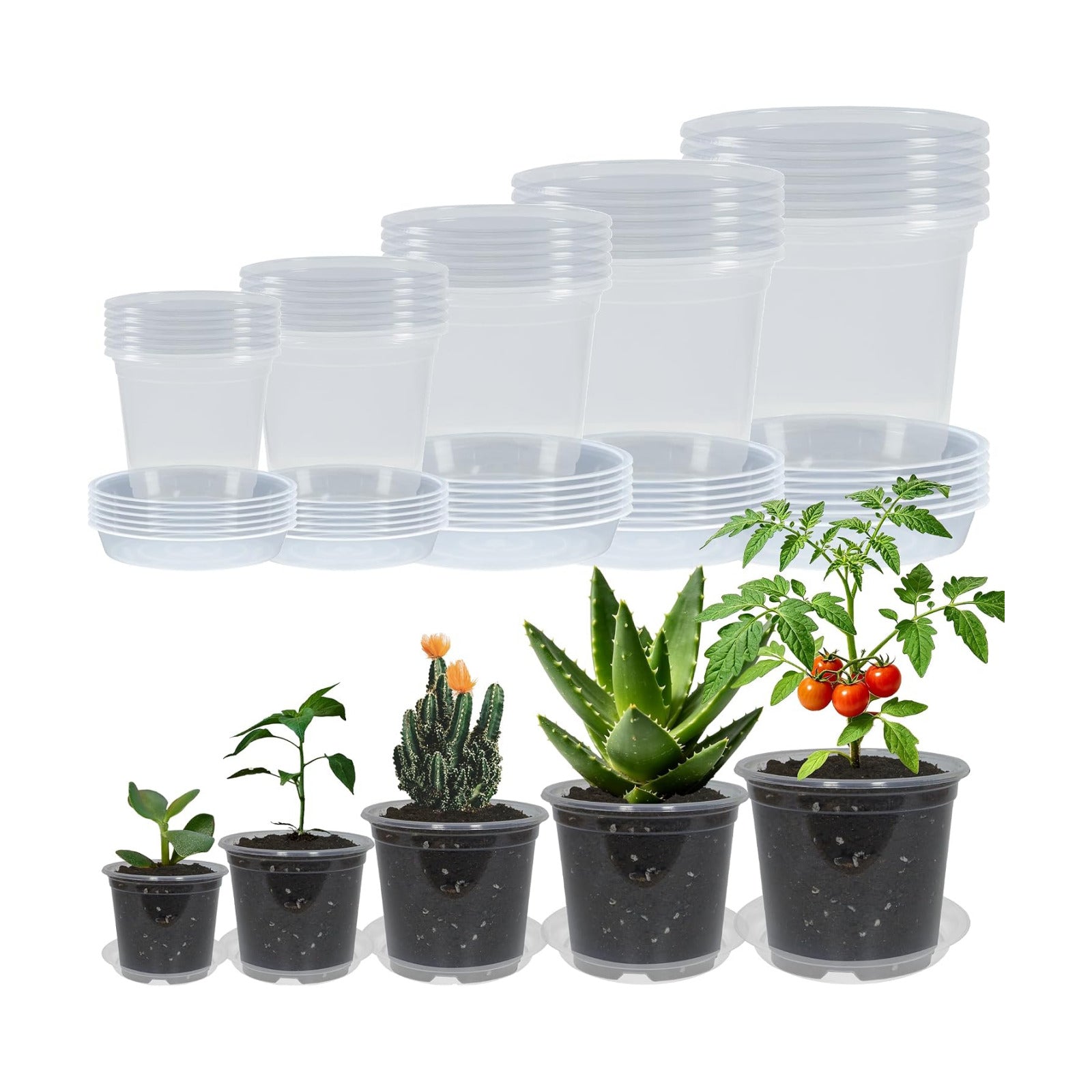30 Pack 3/4/5/6/7 Inch Clear Nursery Pots with Drainage and 30 Pack Plant Saucers, Plant Pots for Plants Transparent