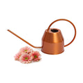 Plexon Rose Gold Metal Watering Can Indoor Plants 40 oz, Stainless Steel Long Spout Watering Can Outdoor House Plant