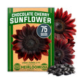 HOME GROWN Chocolate Cherry Sunflower Seeds, 75 Seeds, Helianthus annuus