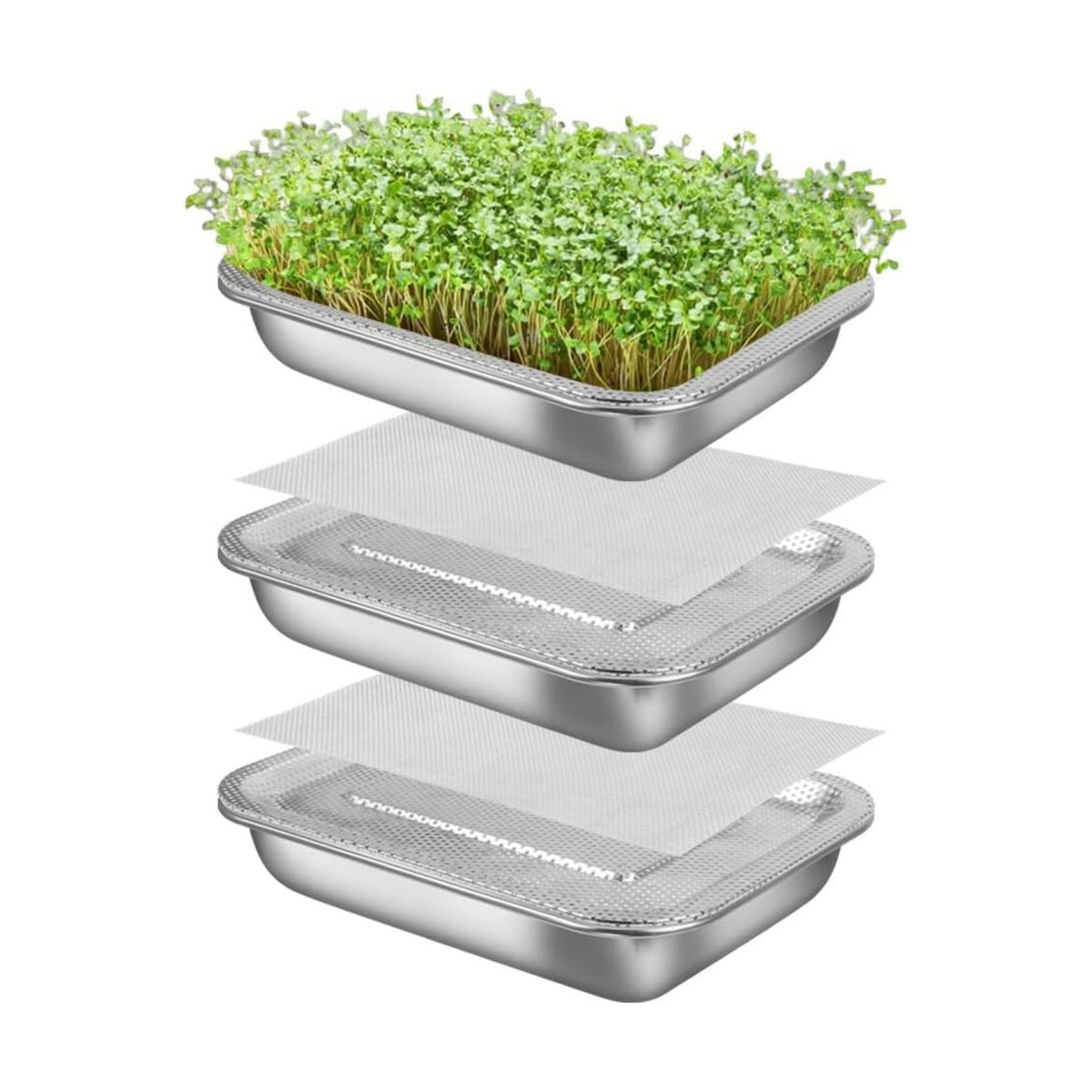 Picowe Stainless Steel Sprouting Trays Seed Sprouting Kit with Stainless Steel Mesh Tray Seed Starter Tray Seed Sprouting Kit (3pack, 10.4 x 7.7inch)