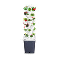 Hydroponics Growing System, 30-Plants Indoor Vertical Tower Garden System Kit, Hydroponic Growing Tower with 10L Tank &