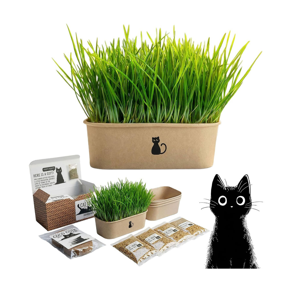 Cat Grass Grow Kit — 4-Batch Indoor Growing Set with Containers, Soil Disks & Seeds | Supports Digestion & Hairball