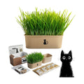 Cat Grass Grow Kit — 4-Batch Indoor Growing Set with Containers, Soil Disks & Seeds | Supports Digestion & Hairball