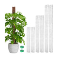 EOX Plastic Moss Pole for Monstera, 24/36/48-Inch, 6-Pack | Clear D-Shaped Design, Fold-to-Assemble, Sphagnum Moss Not