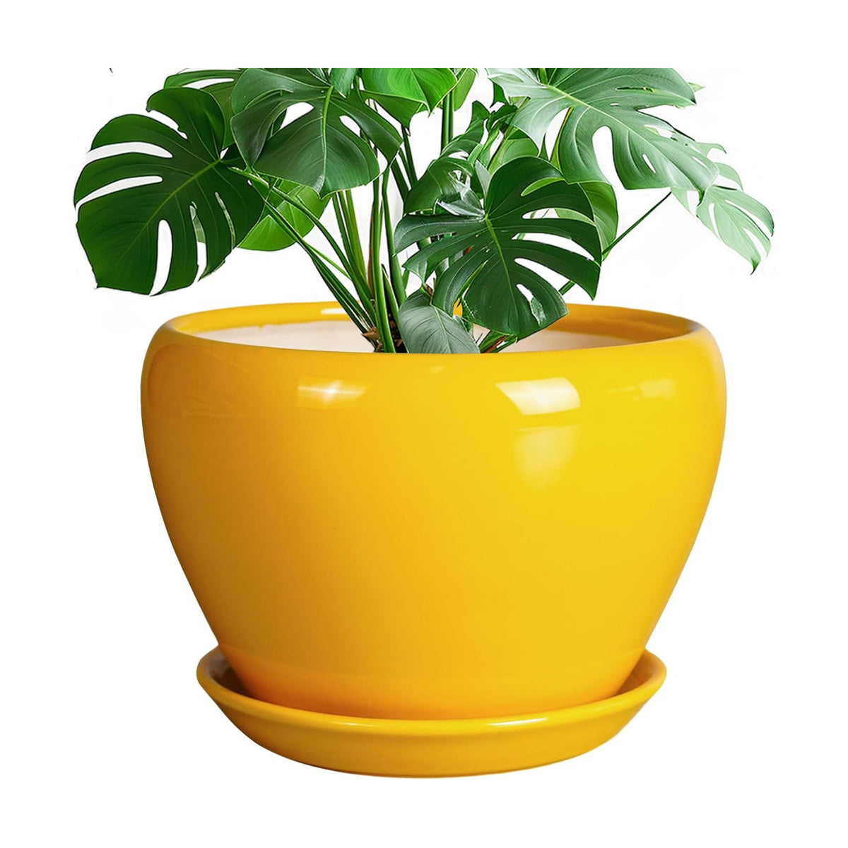 Ceramicfor Ceramic Planter - 10 Inch Plant Pot for Indoor Outdoor Plants Glaze Modern Round Planter with Drainage Hole and Saucer for Garden Office Home Room Patio Decor, Yellow