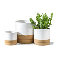 HASENSE Ceramic Plant Pots with Saucers Set of 3, 8+6+4.6 Inch Planters for Indoor Plants with Drainage Holes,Two-Tone