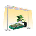 LED Grow Lights for Seed Starting with Stand, 2ft 60W Full Spectrum Seedling Lights Grow Lights for Indoor Plants