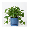 HASENSE Ceramic Plant Pot with Saucer, 6 Inch Planter for Indoor/Outdoor Plants with Drainage Hole,Blue Glazed Flower