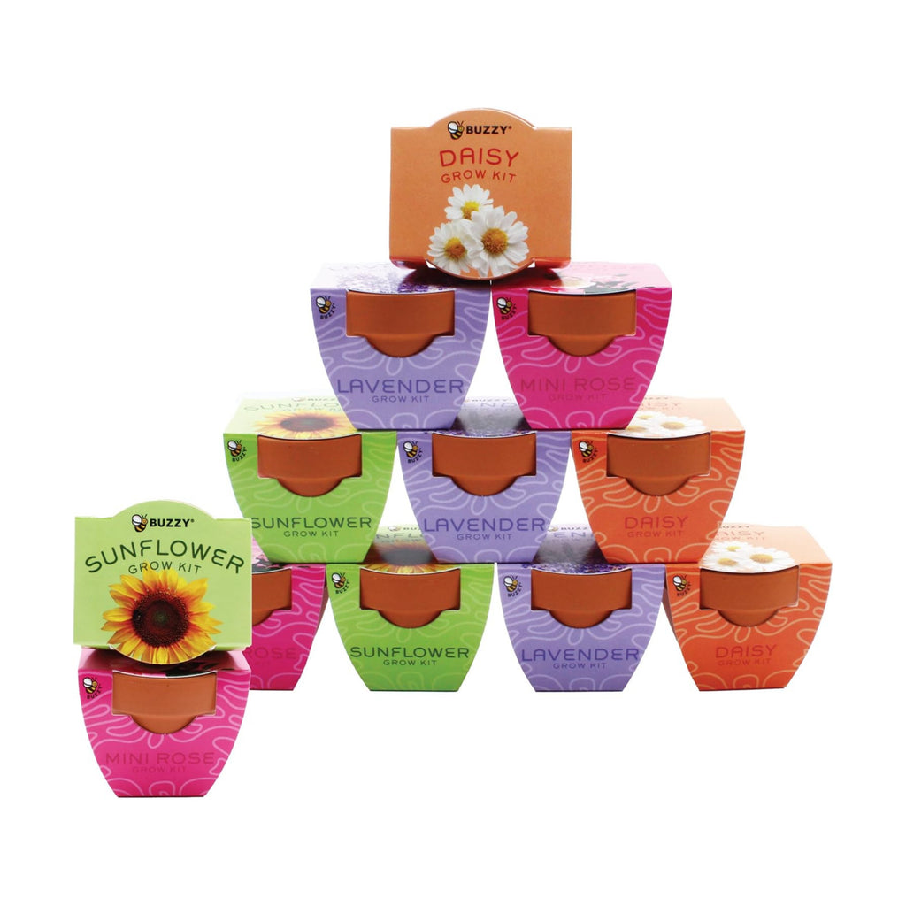 Buzzy Seeds Bright Series Grow Kit, Assorted 12-Pack - Mini Terracotta Pot Grow Set - Complete Indoor/Outdoor Gardening