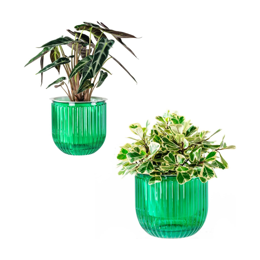 Melphoe Self Watering Pots for Indoor Plants Planter, 8.3/5.3 Inch 2 Pack Planters Self Watering Plant Pots for Flower, Houseplants, Succulent, African Violets and Cactus with Drainage