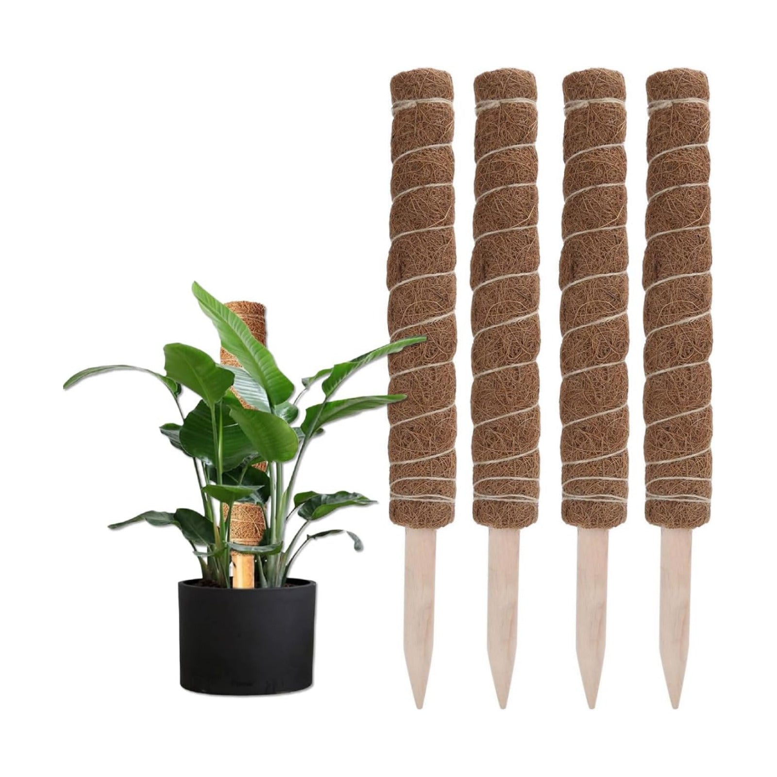 4PCS 45CM Coir Totem Pole for Climbing Plants, Moss Stick Plant Support Indoor Outdoor Garden Supplies