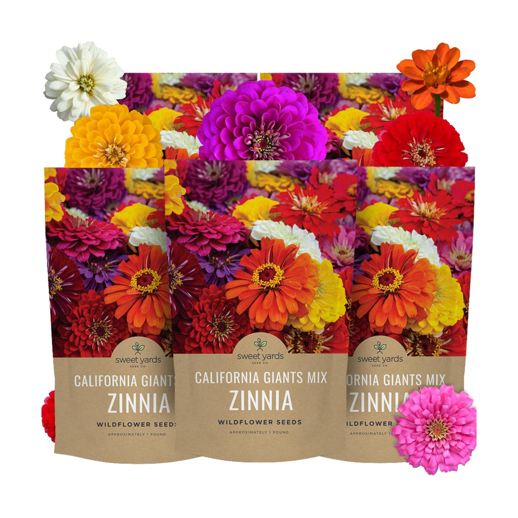 Bulk Zinnia Seeds - California Giants Mix - 5 Pounds - Over 240,000 Flower Seeds - Mixed Colors and Large Blooms