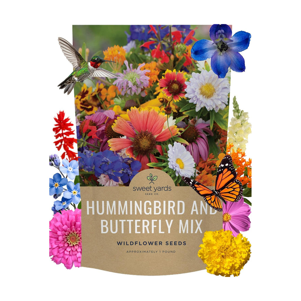 Bulk Wildflower Seeds Butterfly and Hummingbird Mix - 1 Pound Bag - Over 120,000 Open Pollinated Annual and Perennial