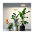 Kullsinss 6.3in Grow Lights for Indoor Plants, Full Spectrum Plant Light | Wood Grain Growing Lamp with 6/12/16H Timer