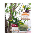 2pcs Mushroom Smily Swing Face Planter Pot Resin (Red&Yellow) | Cute Hanging Resin Flower Head Planter for Indoor
