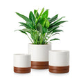 vancasso Ceramic Plant Pots, 3 Piece Planters for Indoor Plants, Khaki | 4.25+5.25+6.25 Inch Flower Pots with Drainage