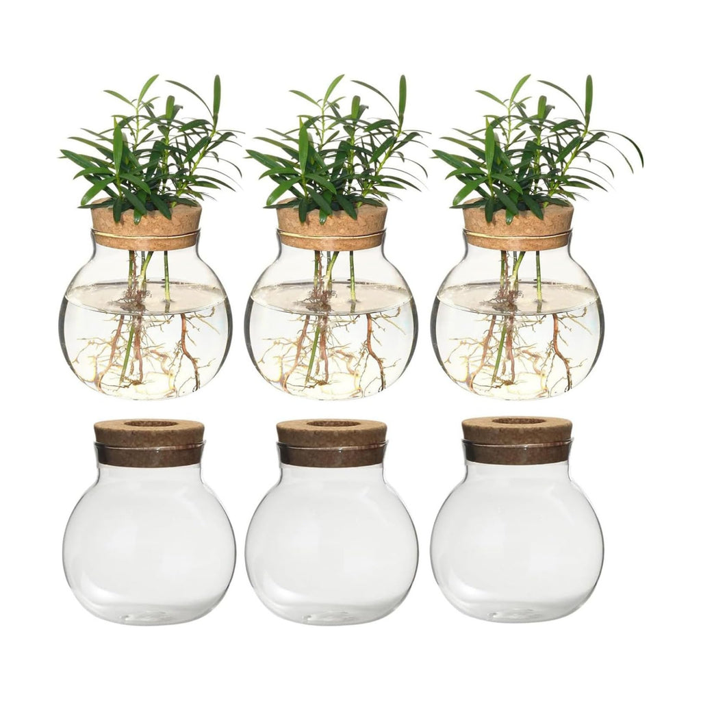 Plant Propagation Station,Hydroponic Terrarium Vase,Desktop Glass Planter Station,for Houses,Garden