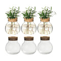 Plant Propagation Station,Hydroponic Terrarium Vase,Desktop Glass Planter Station,for Houses,Garden