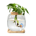 Betta Fish Bowl Glass Small Fish Tank with Bamboo Stand, Plant Propagation Station Hydroponic Terrarium with Lid beta