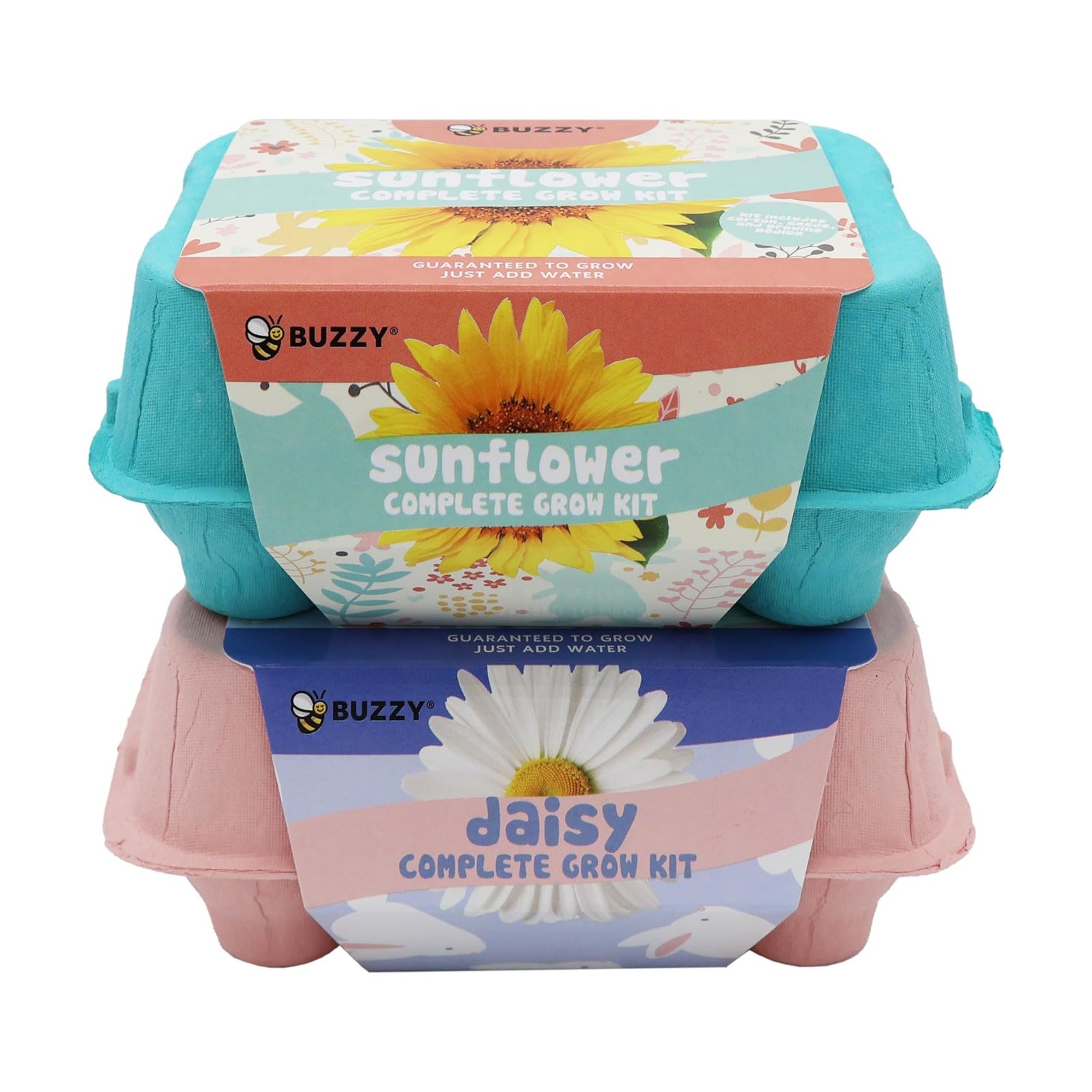 Buzzy Seeds Flower Starter Kit 2-Pack - Egg Carton Eco-Friendly Pots - Complete Indoor Gardening Kit with Seeds