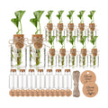 24 Pack 4.84'' Plastic Plant Propagation Stations with Hole Lid Planter Vase Clear Propagation Jars with Thank You Tags