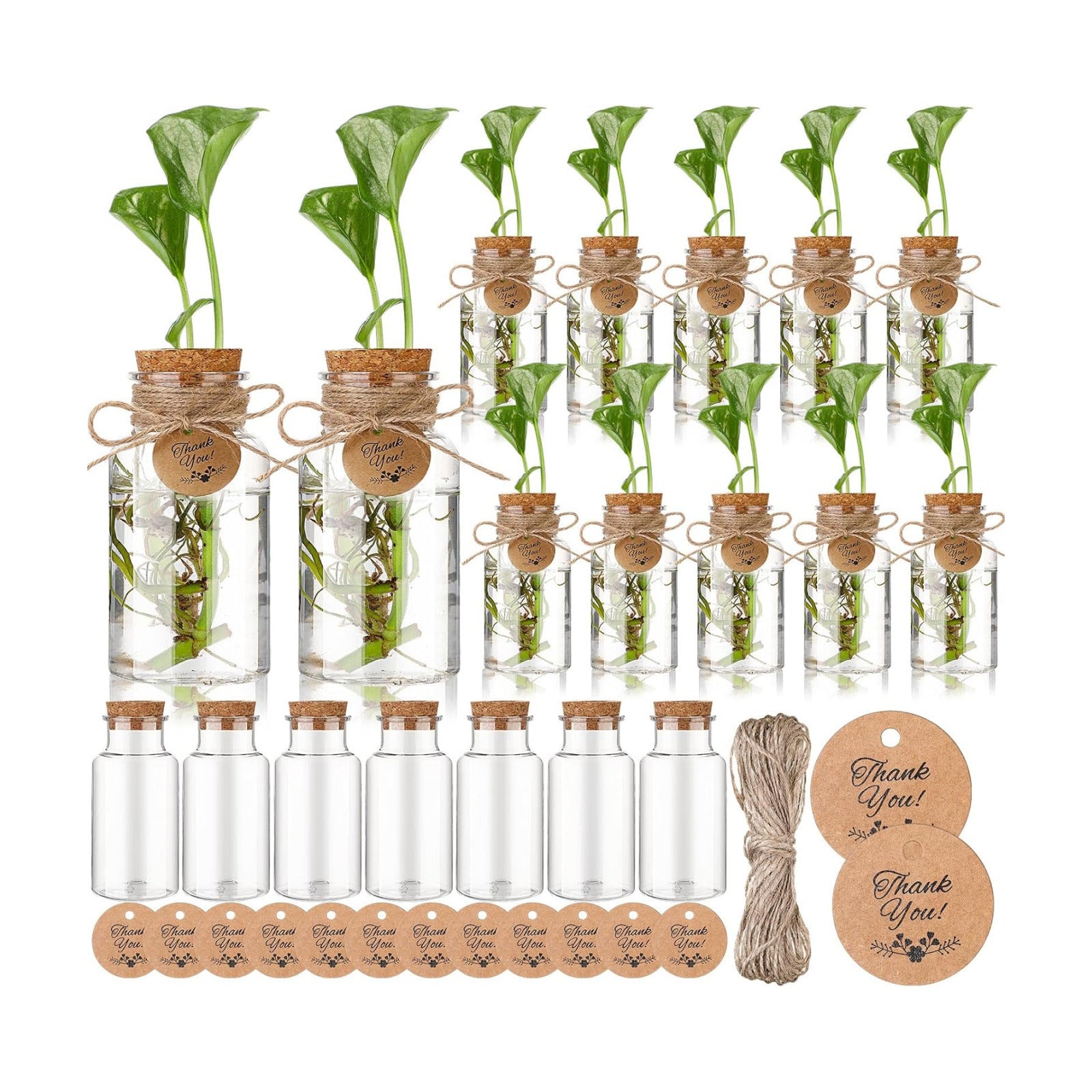 24 Pack 4.84'' Plastic Plant Propagation Stations with Hole Lid Planter Vase Clear Propagation Jars with Thank You Tags