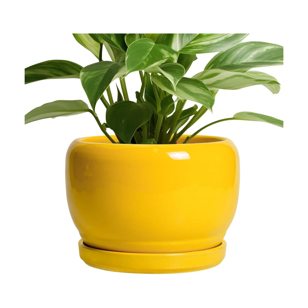 SQOWL Ceramic Plant Pot - 8 Inch Planter for Indoor Outdoor, Decorative Plant Pot with Drainage Hole and Saucer, Modern