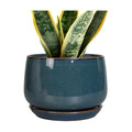 G EPGardening Ceramic Pot for Plants - Modern 7 Inch Round Planter with Drainage and Tray Indoor Outdoor for Flower