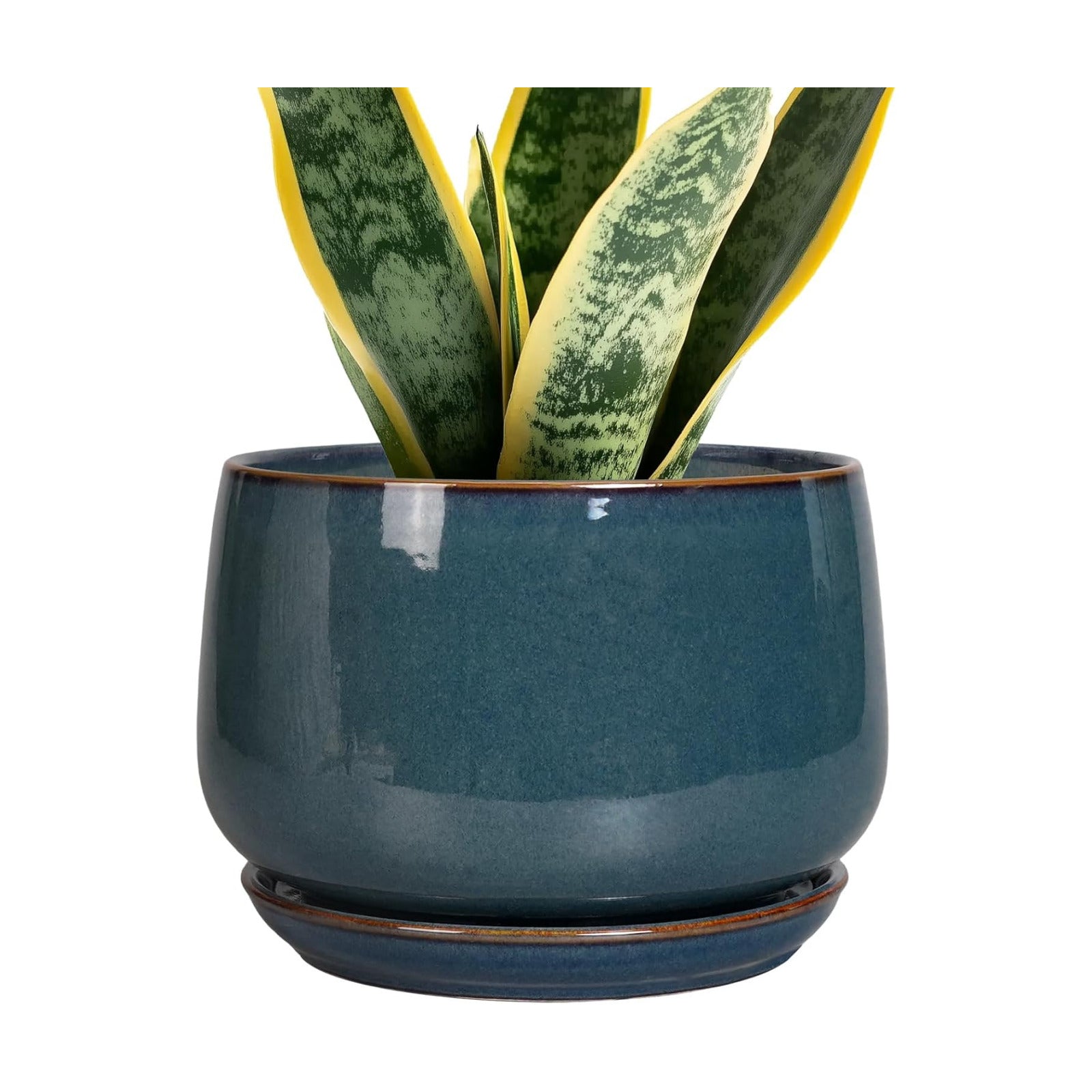 G EPGardening Ceramic Pot for Plants - Modern 7 Inch Round Planter with Drainage and Tray Indoor Outdoor for Flower