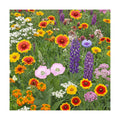 Ferry-Morse Colorado Western Bulk Wildflower Seeds, 500,000+, 1 lb | Non-GMO blend of native and adapted species for