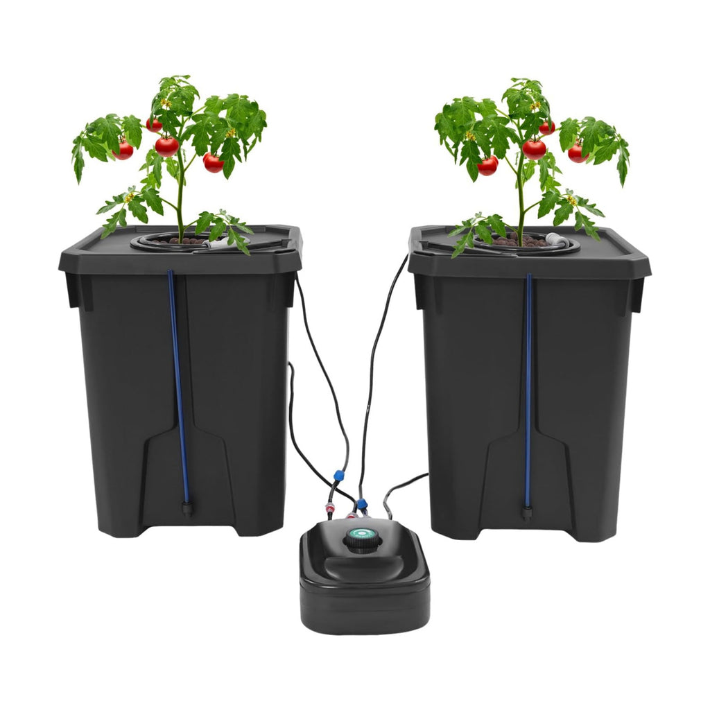Hydroponic Growing Bucket Kit, Recirculating Hydroponics Growing System Drip Garden System with 2 Hydroponics Growing