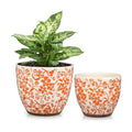 GnFlus Vintage Flower Pot Rustic Plant Pot Large Ceramic Planters for Indoor Plants Pots with Drainage Shabby Chic