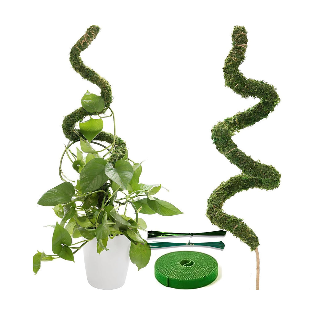 Soupiar Moss Pole Monstera Plant Support - Tall 63 Inch Pure Natural Handmade Bendable Moss Poles for Climbing Plants