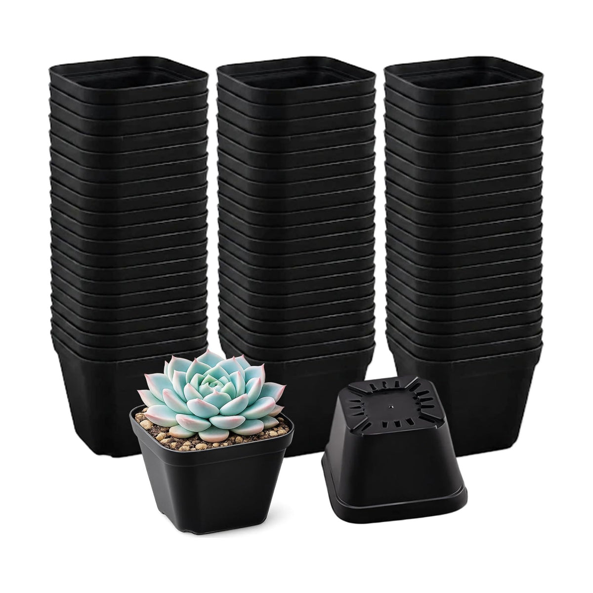 100 Packs Square Nursery Pots for Plants 4 Inch Seedling Pots
