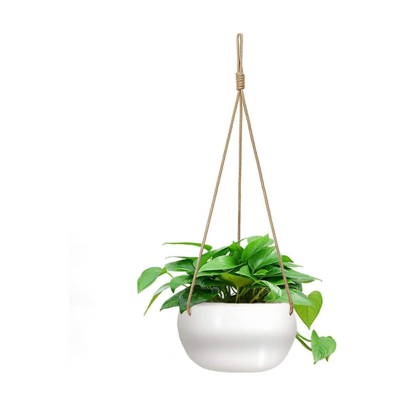Ceramic Hanging Planters for Indoor Outdoor Plants,8 in Modern Plant Pot Round Porcelain Hanger Basket with Rope