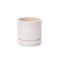 D'vine Dev 4.7 Inch Ceramic Planter Pot, Oatmeal, 94-O-B-8