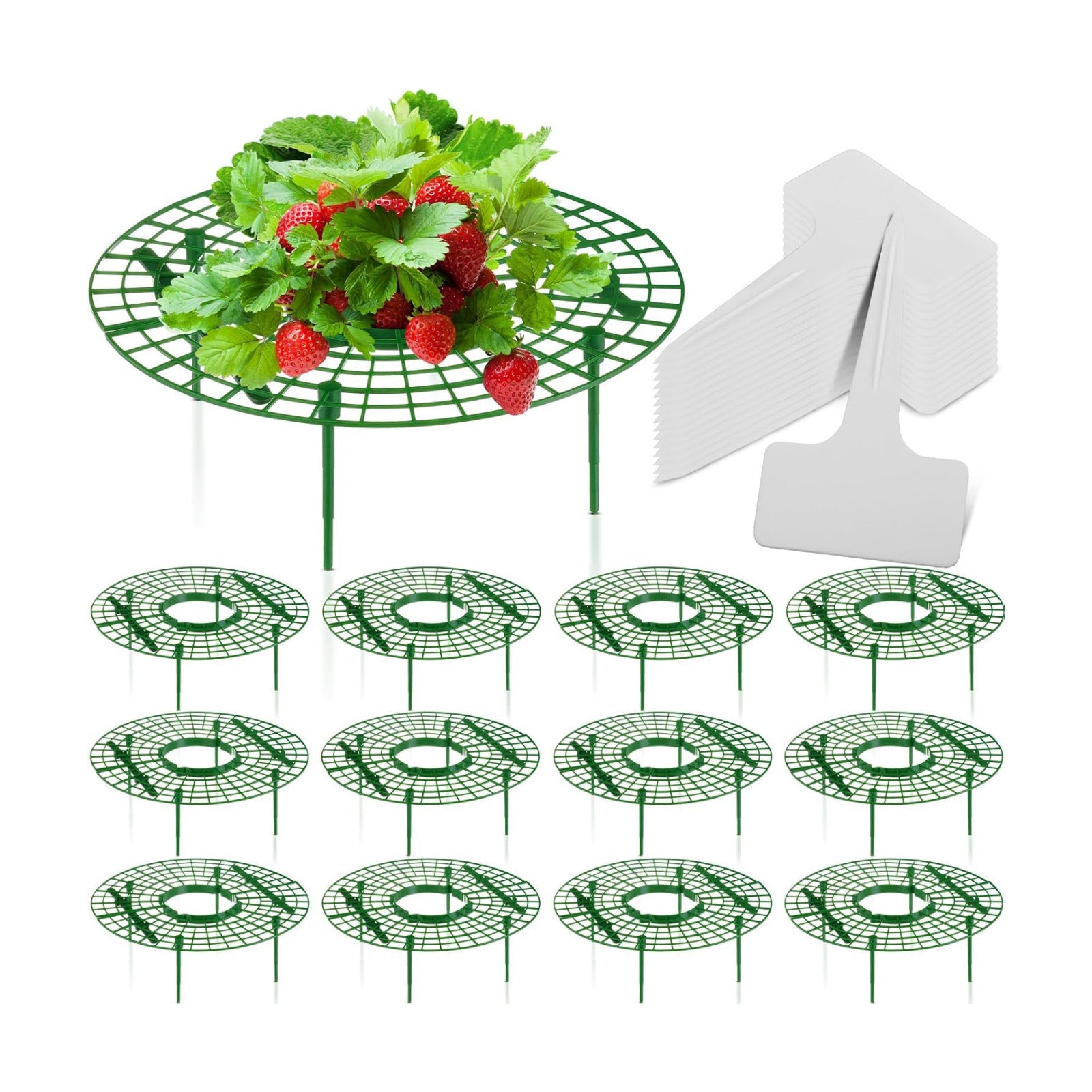 Irenare 12 Pack Strawberry Plant Support with Plant Labels Large Size Strawberry Growing Racks Growing Frame Stand