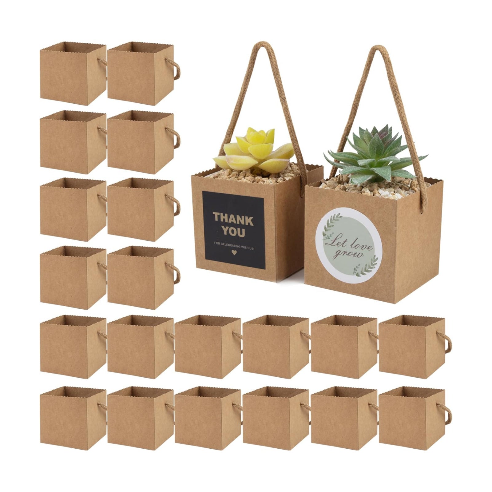 Temlum 2.5 Inch Succulent Wrap Bags (Fits 2.5″ Pots) with Thank You & Let Love Grow Stickers, Small Gift Box for